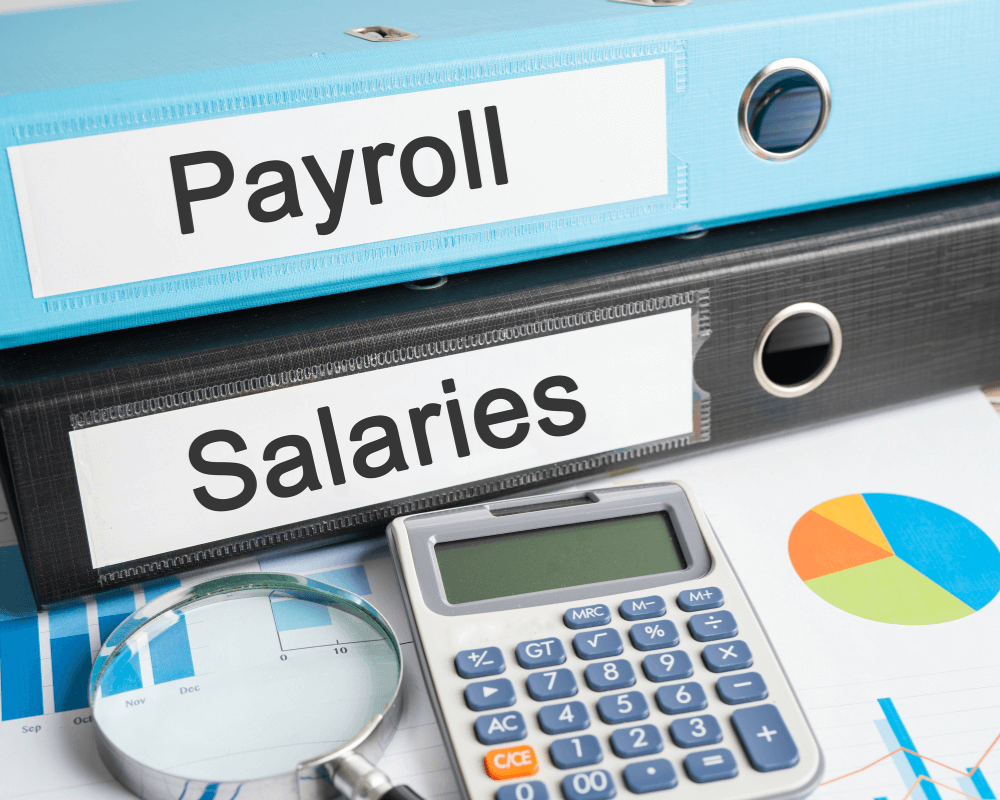 employee payroll, salary and compensation file