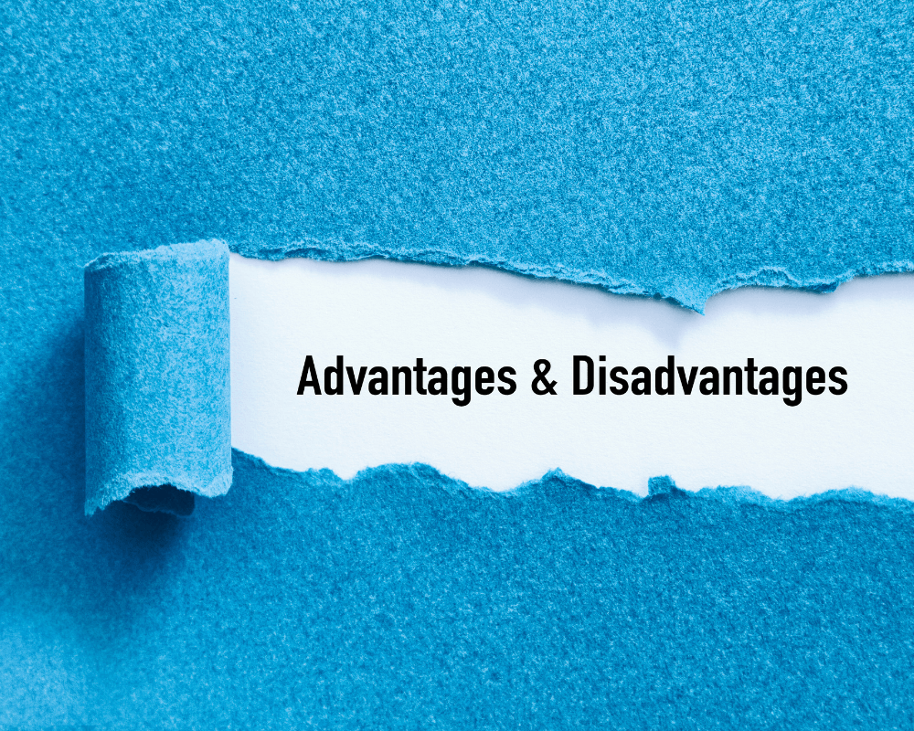 advantage and disadvantage
